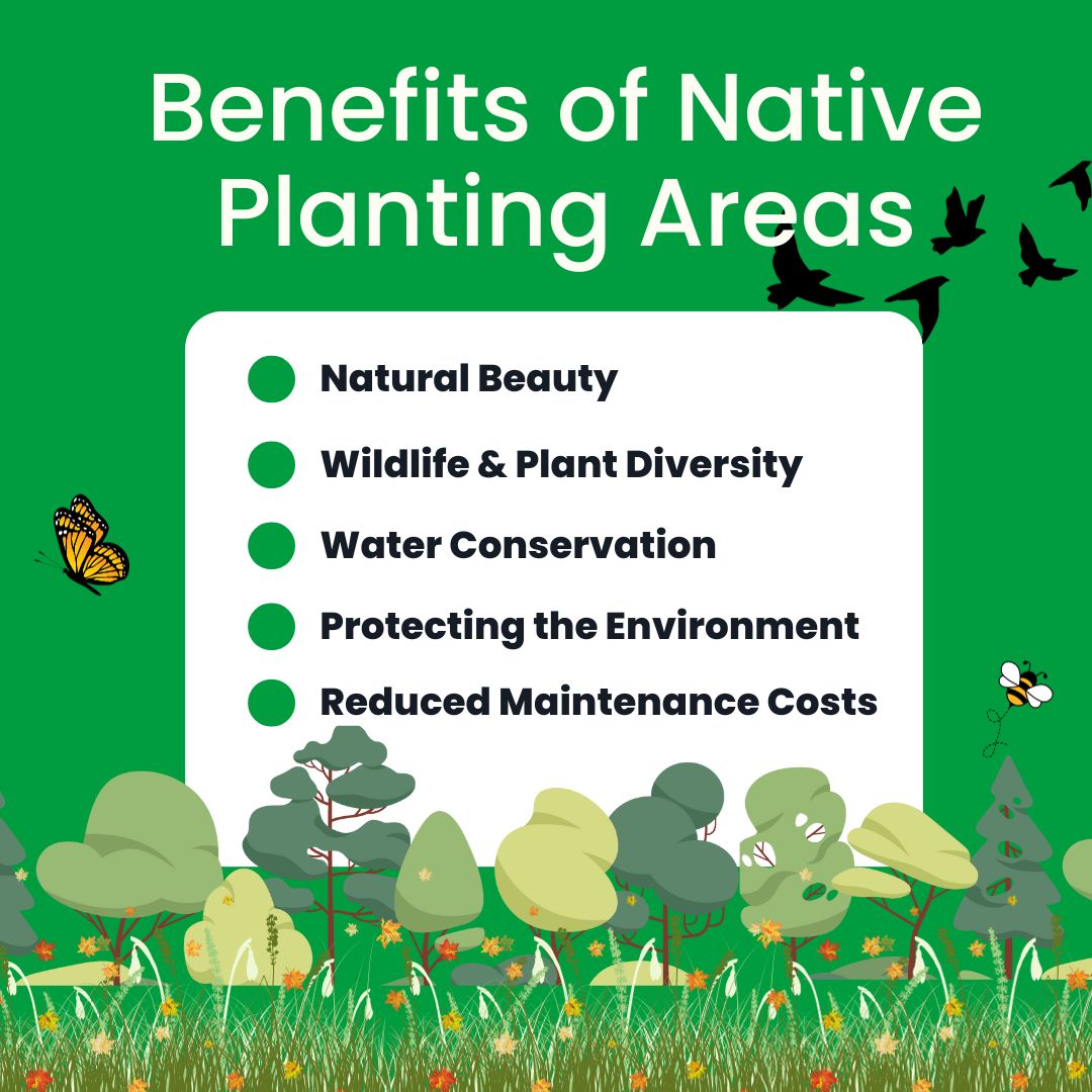 Image of infographic that described the benefits of using native plants