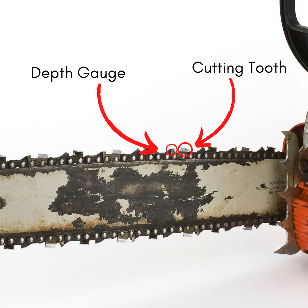 Image showing and labeling a chainsaw's cutting teeth and depth gauges