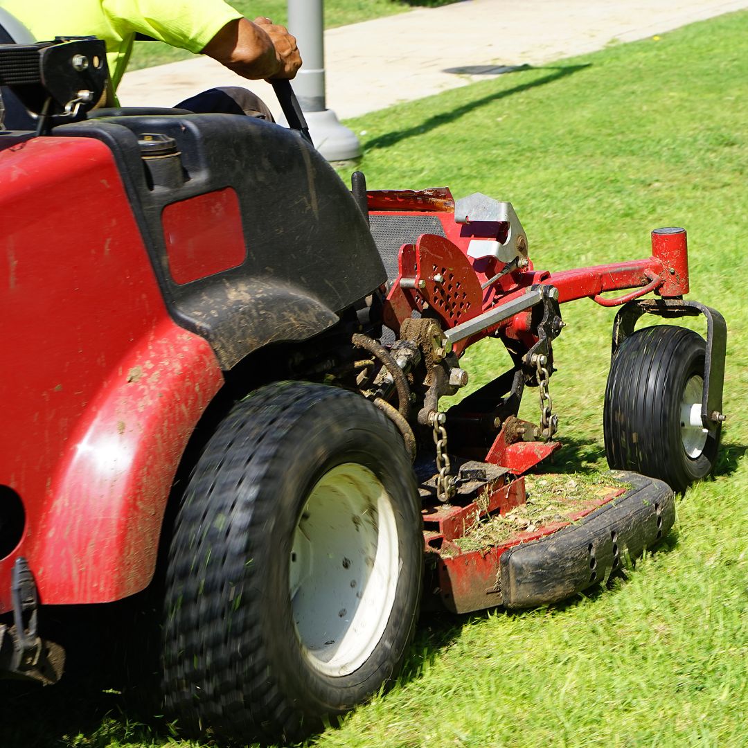 Image of a maintained mower cutting spring turf