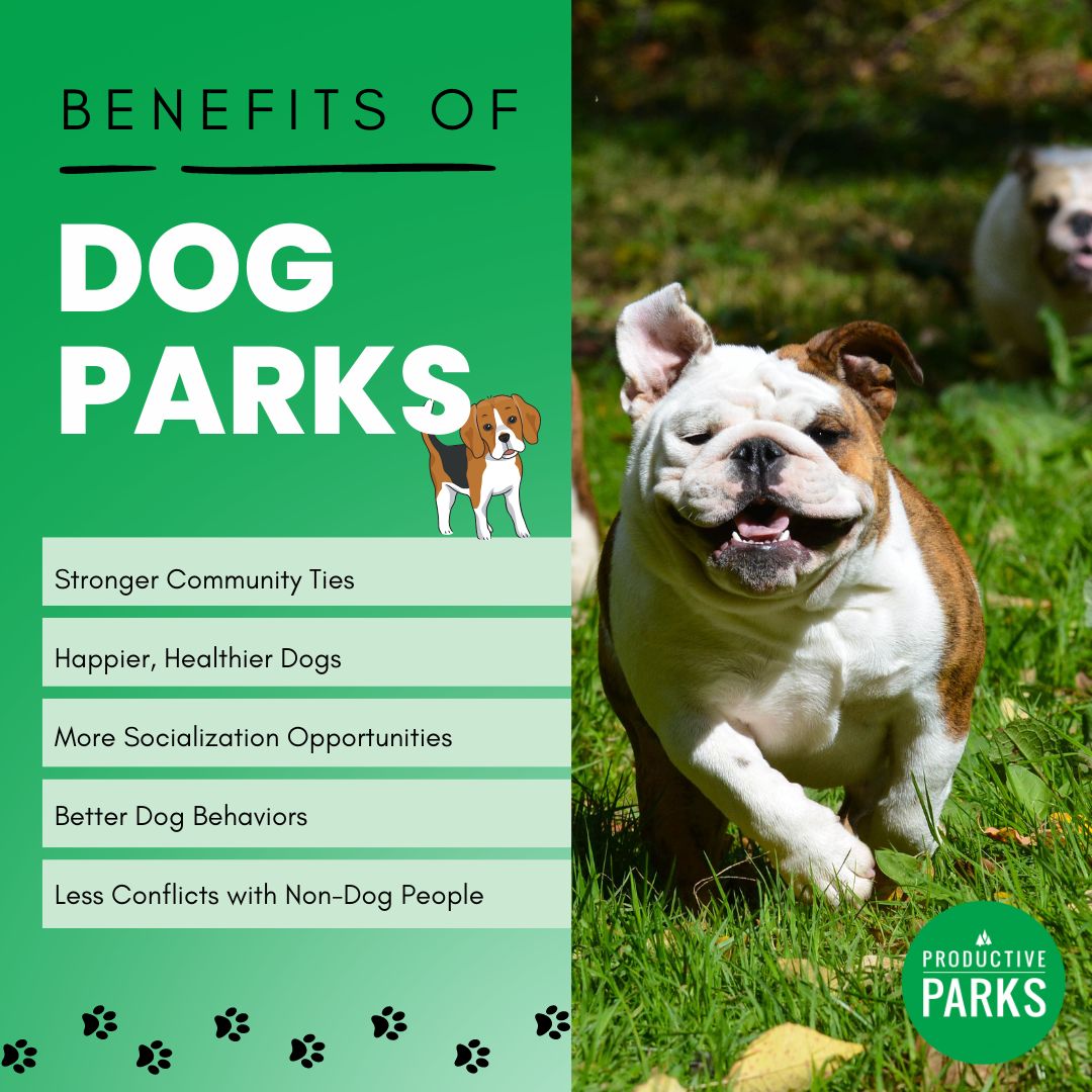 infographic showing the benefits of dog parks for the community