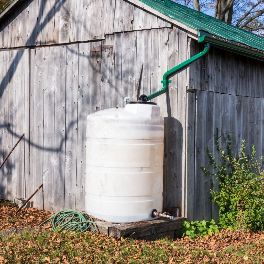 Image of a nature based solution rain harvesting