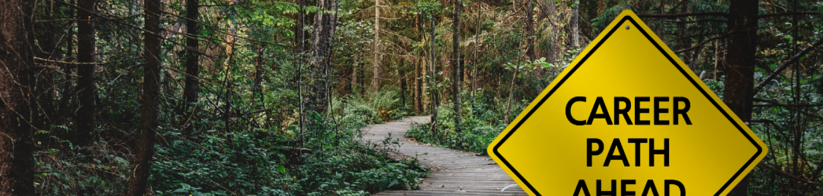 Career pathways in park maintenance title image