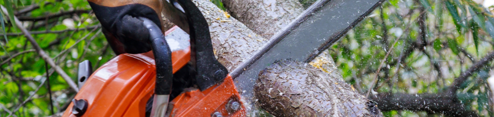 Chainsaw Tune-Up Tips - How to Maintain Your Chainsaw and Keep it Cutting