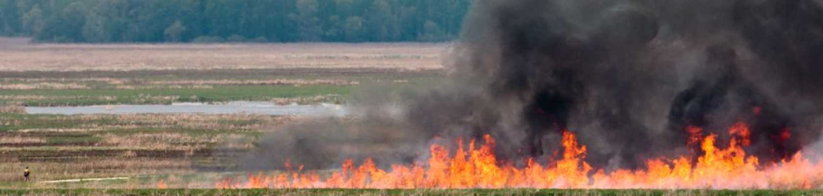 Image of a controlled burn in a prairie 