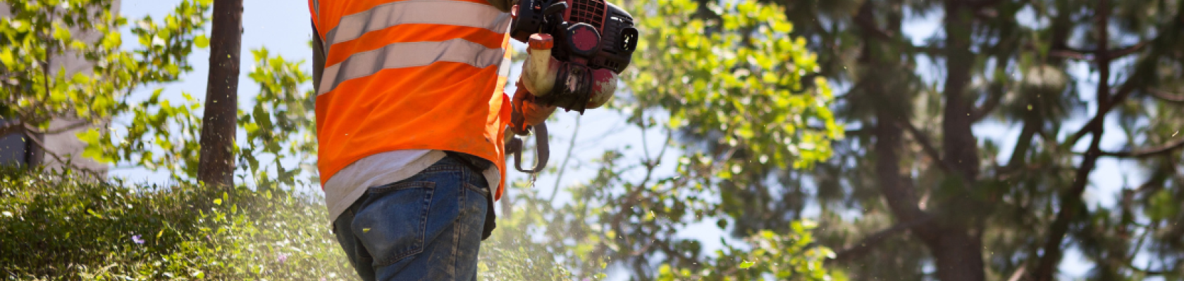 Image of a park maintenance worker approaching challenges