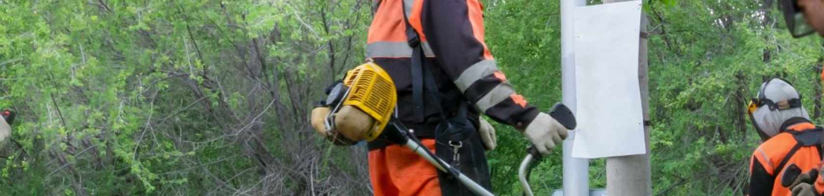 Park maintenance team individual weed whacking.