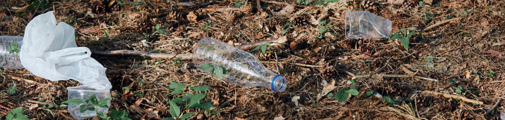 Image of litter in a park for an article on how to parks and recreation agencies can handle and reduce litter on their properties.