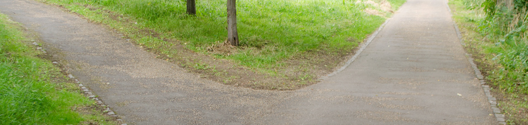 Title image for evaluating maintenance plan in midsummer article