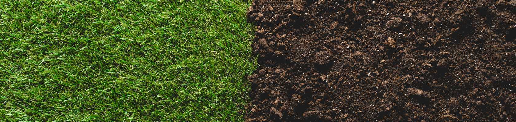 Turf Management: Soil Care