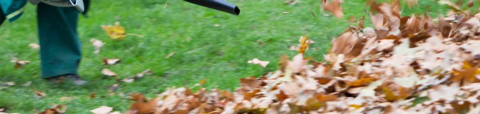 Image of a worker using a maintained leaf blower