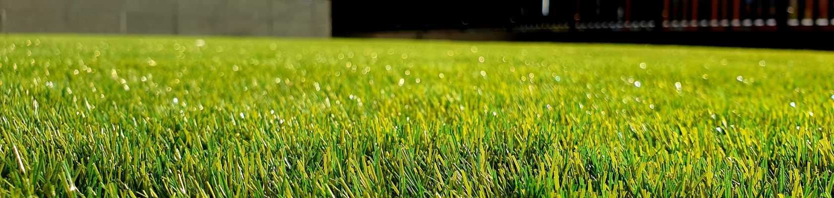 Image of grass mowing at a park