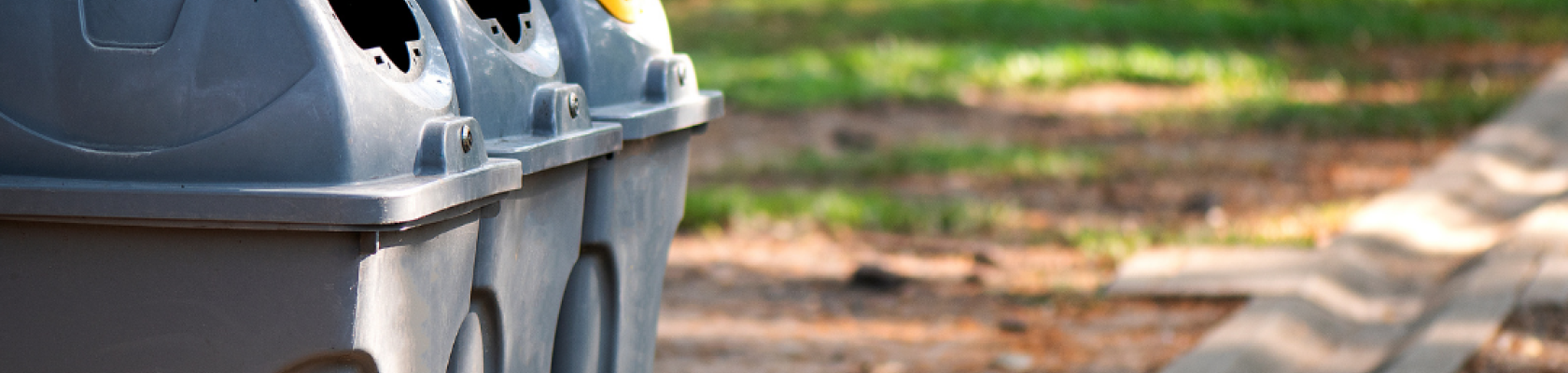 image of trash receptacles in a park