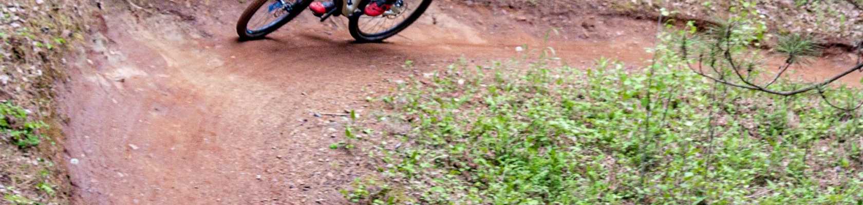 image or a person using a mountain bike on a maintained trail