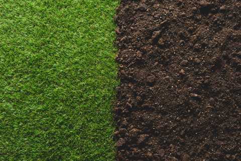 Turf Management: Soil Care