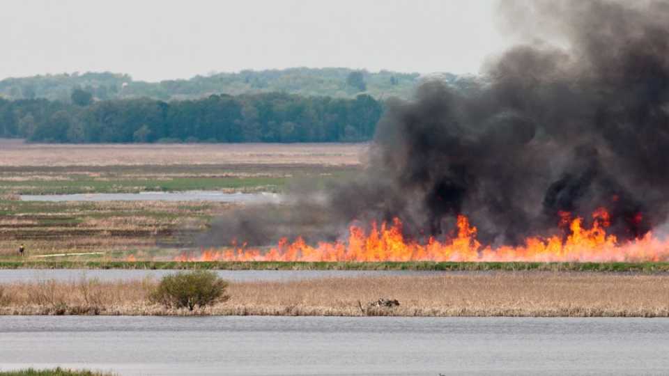 Image of a controlled burn in a prairie 