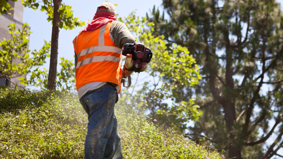 Image of a park maintenance worker approaching challenges