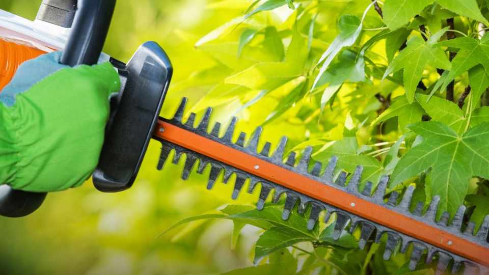 Image of new park maintenance equipment being used.