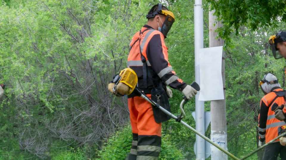 Park maintenance team individual weed whacking.