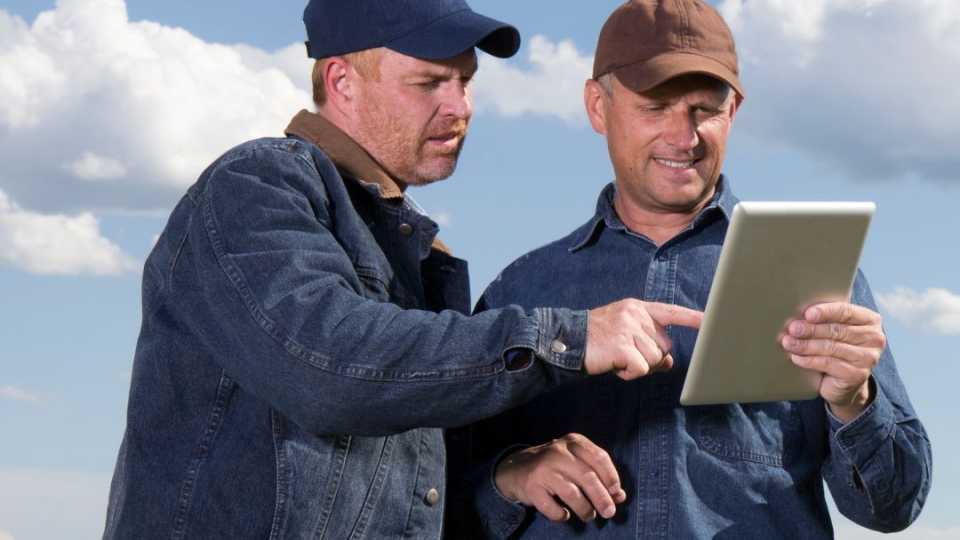 Images of parks workers outdoors looking at a CMMS on a tablet