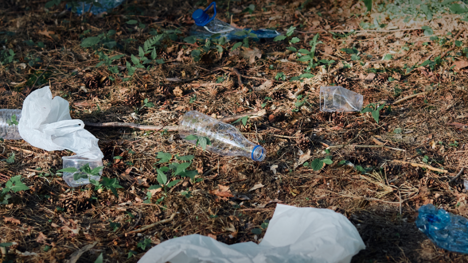 Image of litter in a park for an article on how to parks and recreation agencies can handle and reduce litter on their properties.