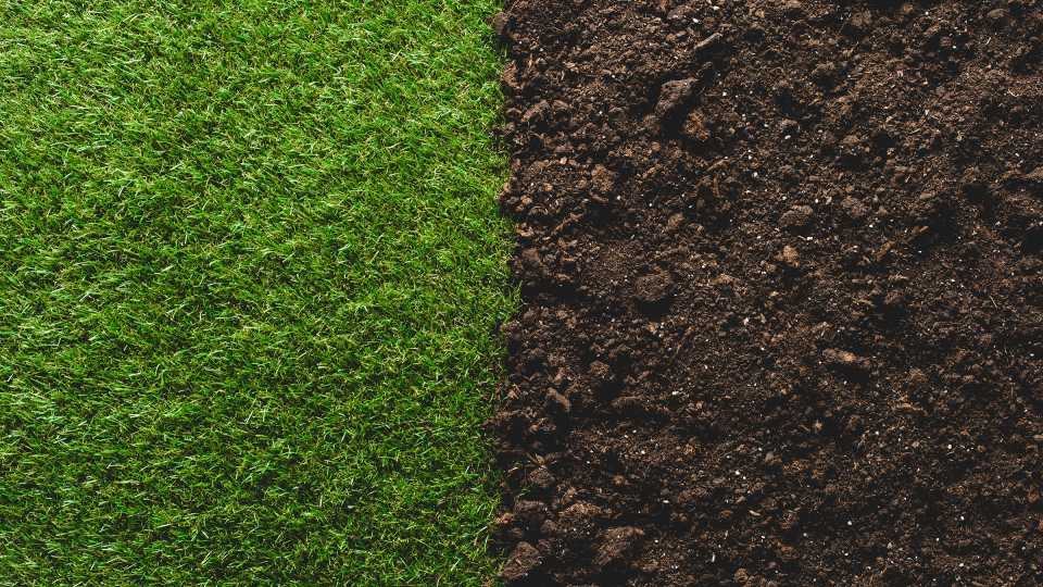 Turf Management: Soil Care